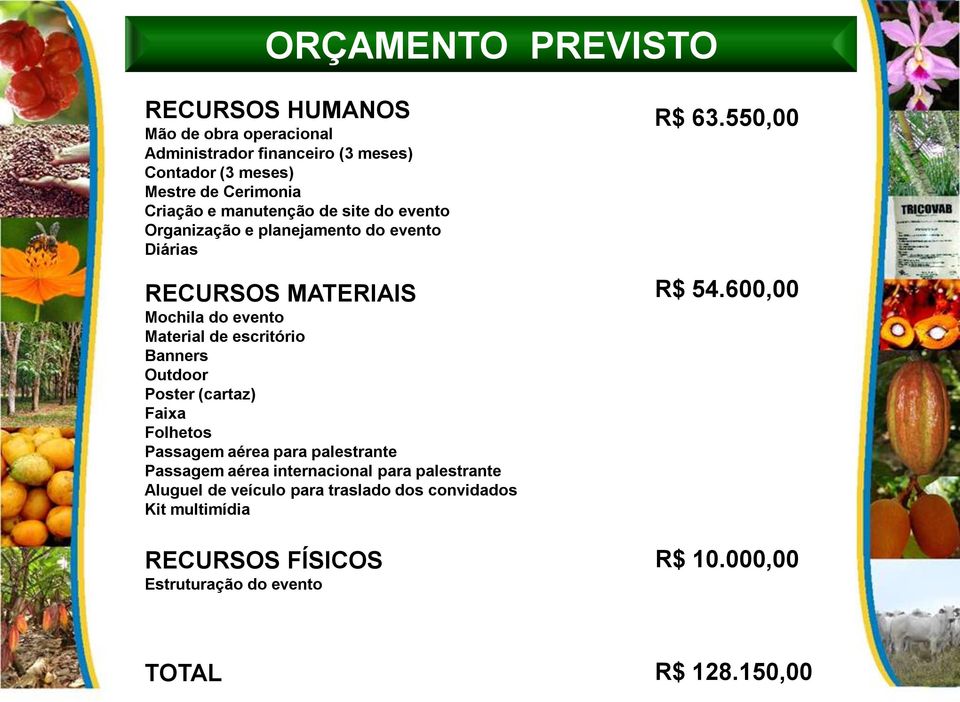 escritório Banners Outdoor Poster (cartaz) Faixa Folhetos Passagem aérea para palestrante Passagem aérea internacional para palestrante