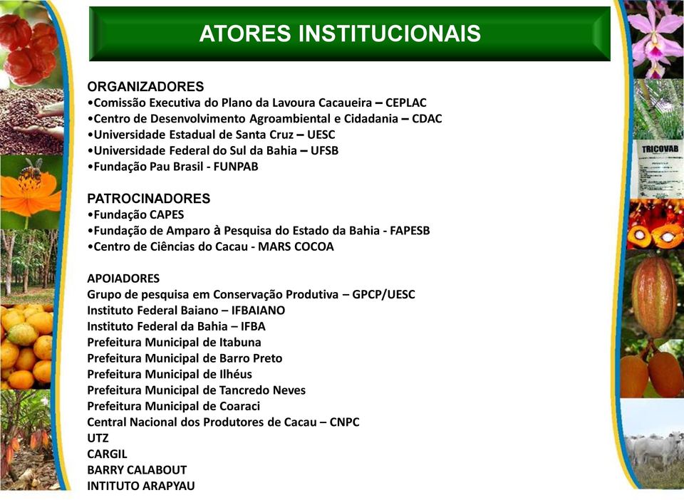 MARS COCOA APOIADORES Grupo de pesquisa em Conservação Produtiva GPCP/UESC Instituto Federal Baiano IFBAIANO Instituto Federal da Bahia IFBA Prefeitura Municipal de Itabuna Prefeitura Municipal de