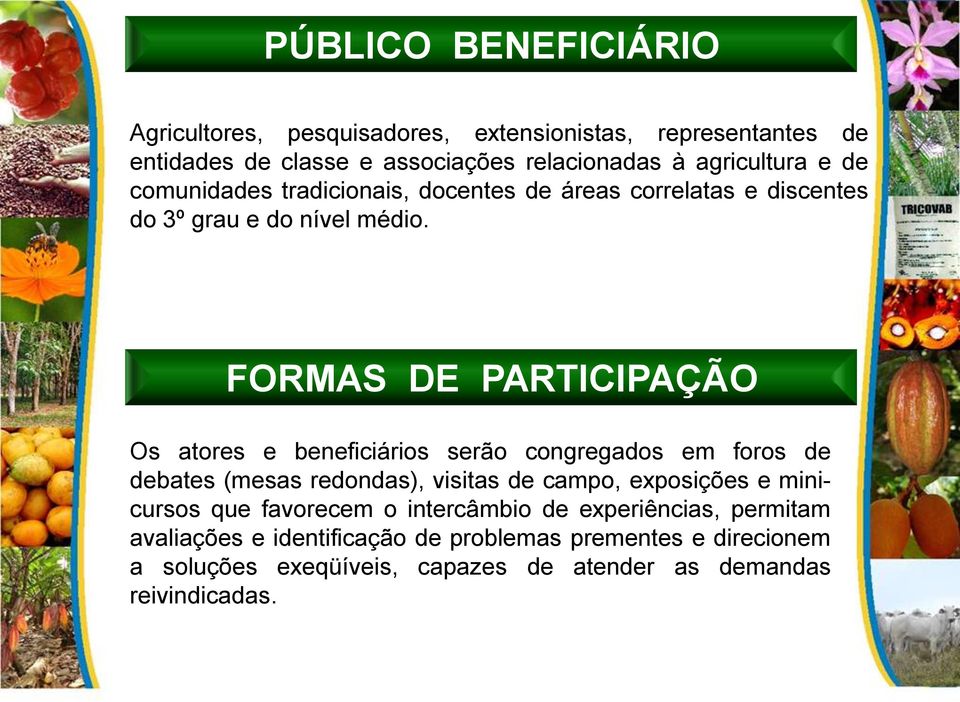 FORMAS DE PARTICIPAÇÃO Os atores e beneficiários serão congregados em foros de debates (mesas redondas), visitas de campo, exposições e