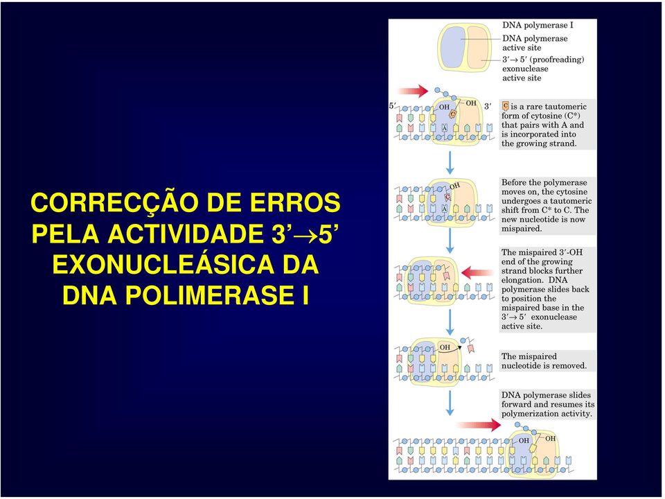 ACTIVIDADE 3 5