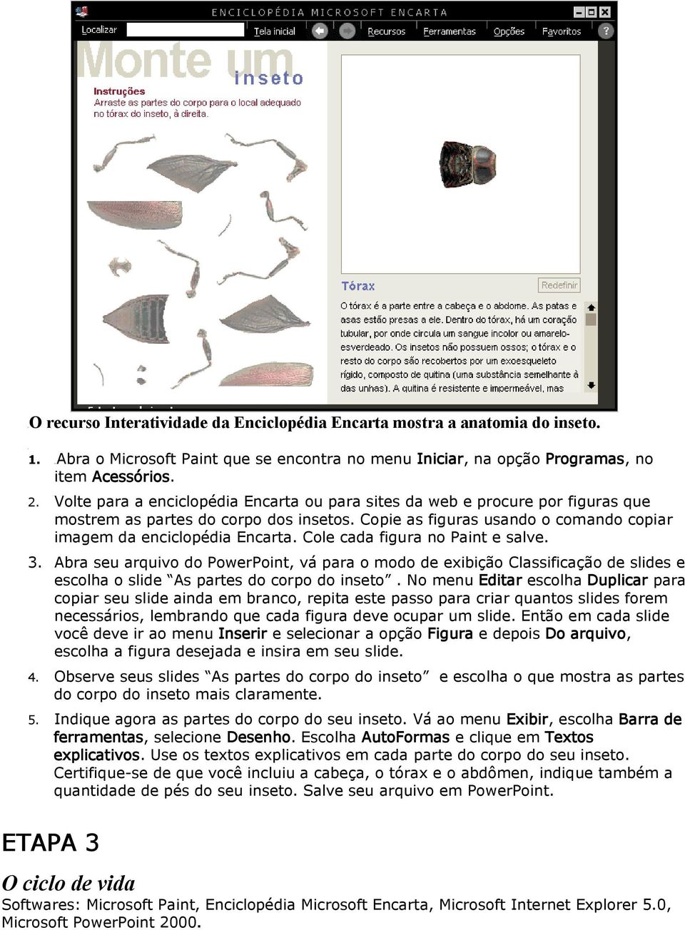 Cole cada figura no Paint e salve. 3. Abra seu arquivo do PowerPoint, vá para o modo de exibição Classificação de slides e escolha o slide As partes do corpo do inseto.