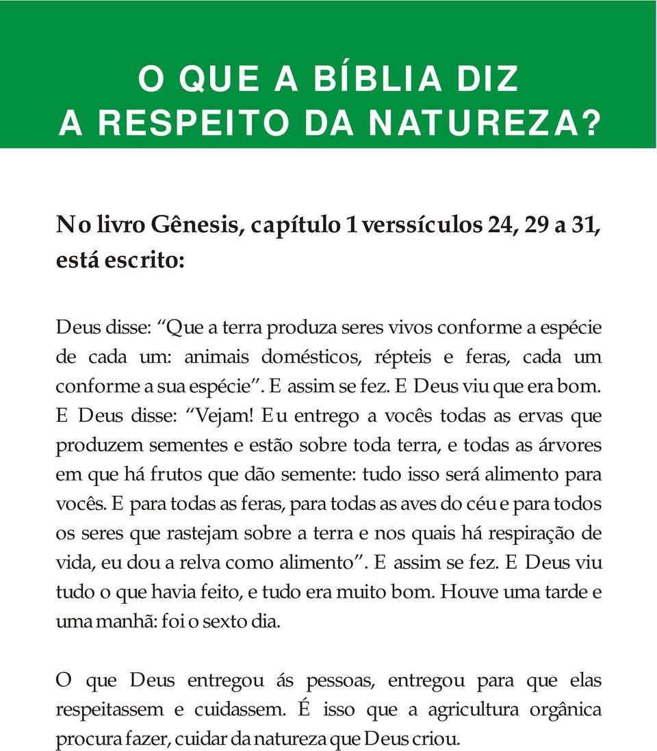 sua espécie. E assim se fez. E Deus viu que era bom. E Deus disse: Vejam!