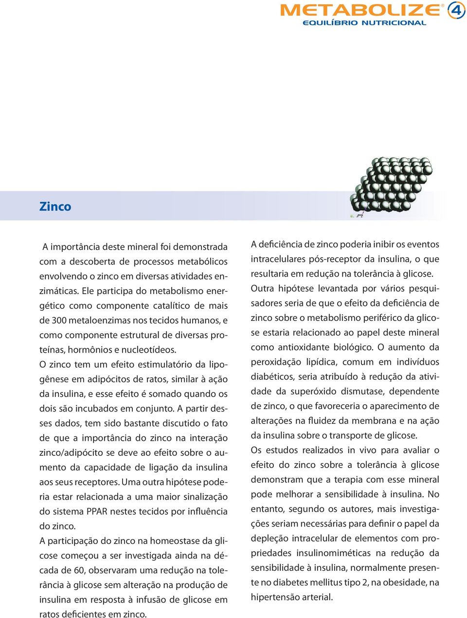 O zinco tem um efeito estimulatório da lipogênese em adipócitos de ratos, similar à ação da insulina, e esse efeito é somado quando os dois são incubados em conjunto.