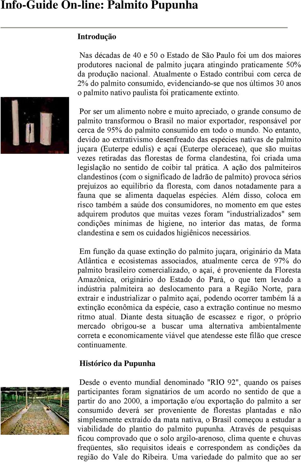 Por ser um alimento nobre e muito apreciado, o grande consumo de palmito transformou o Brasil no maior exportador, responsável por cerca de 95% do palmito consumido em todo o mundo.