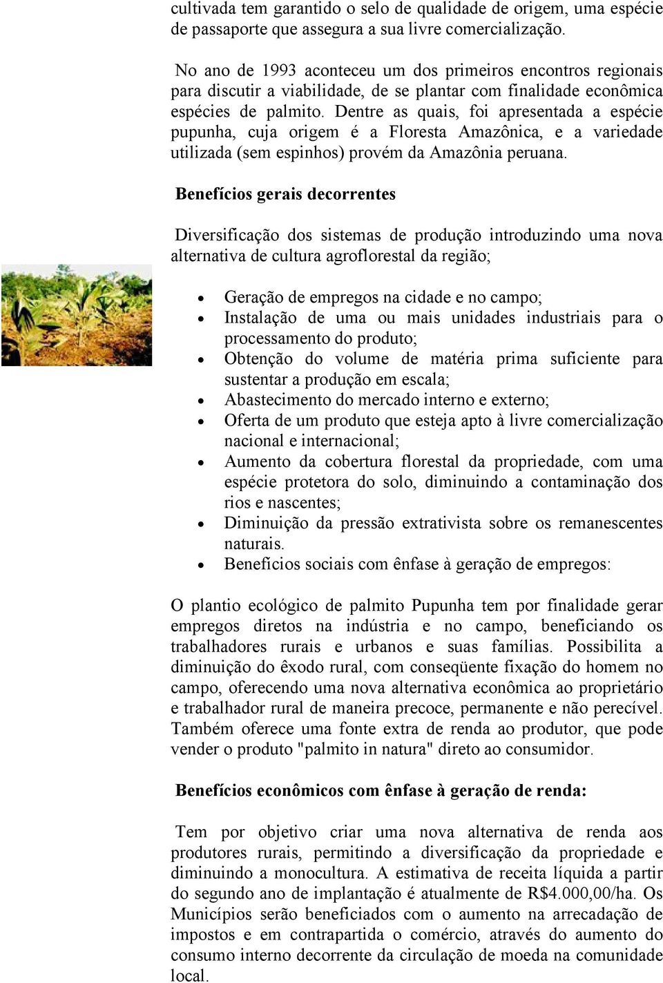 Dentre as quais, foi apresentada a espécie pupunha, cuja origem é a Floresta Amazônica, e a variedade utilizada (sem espinhos) provém da Amazônia peruana.