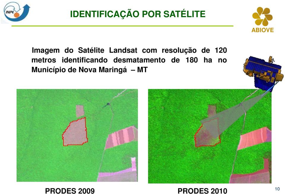 identificando desmatamento de 180 ha no