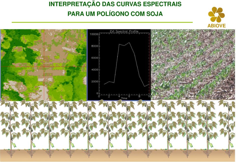 ESPECTRAIS PARA