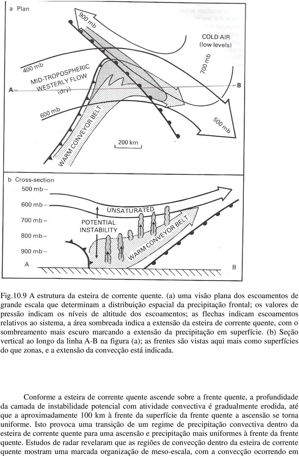 indicam escoamentos relativos ao sistema, a área sombreada indica a extensão da esteira de corrente quente, com o sombreamento mais escuro marcando a extensão da precipitação em superfície.