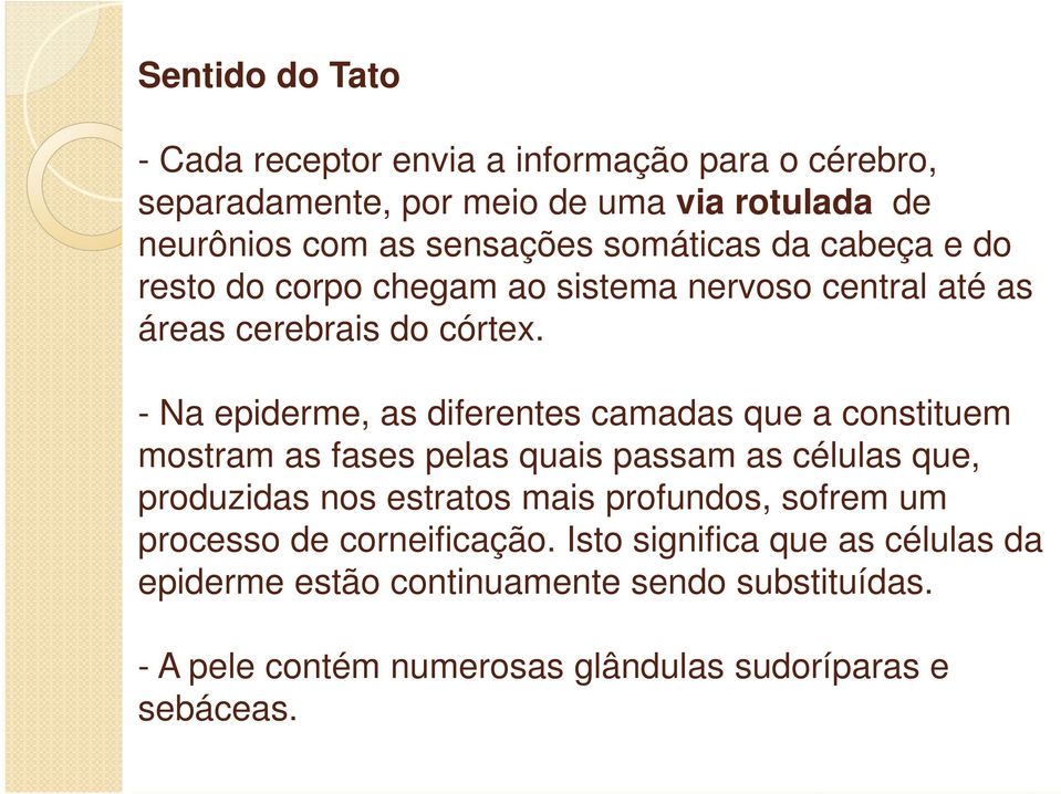 - Na epiderme, as diferentes camadas que a constituem mostram as fases pelas quais passam as células que, produzidas nos estratos mais