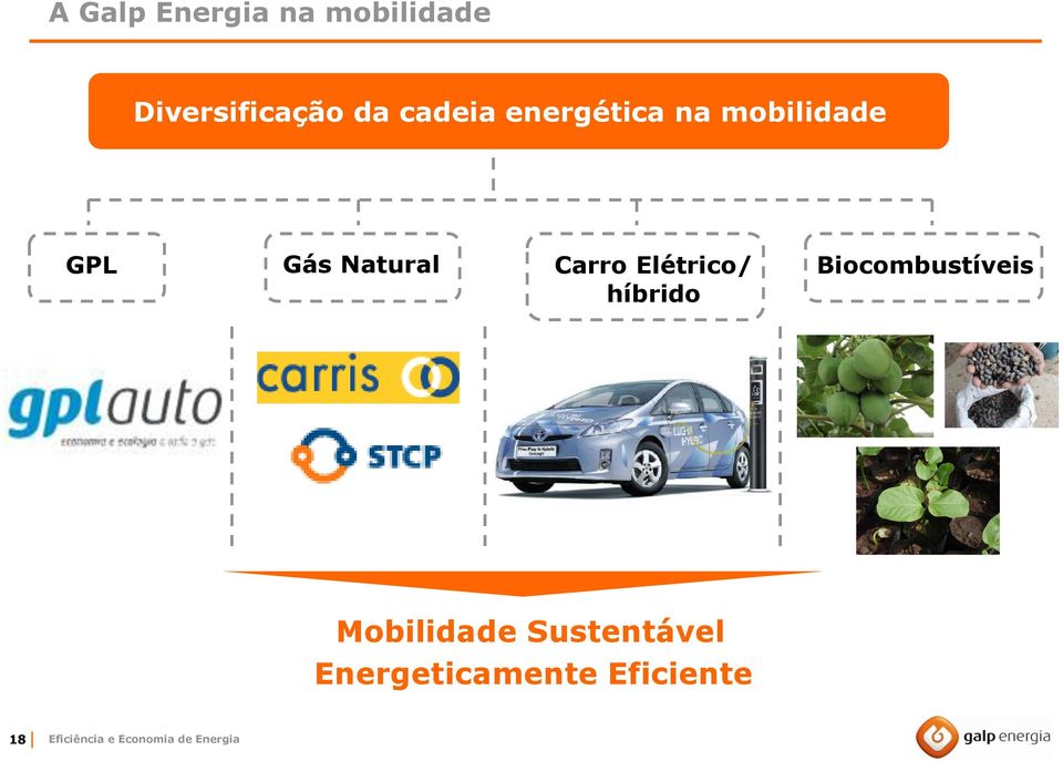 Elétrico/ híbrido Biocombustíveis Mobilidade
