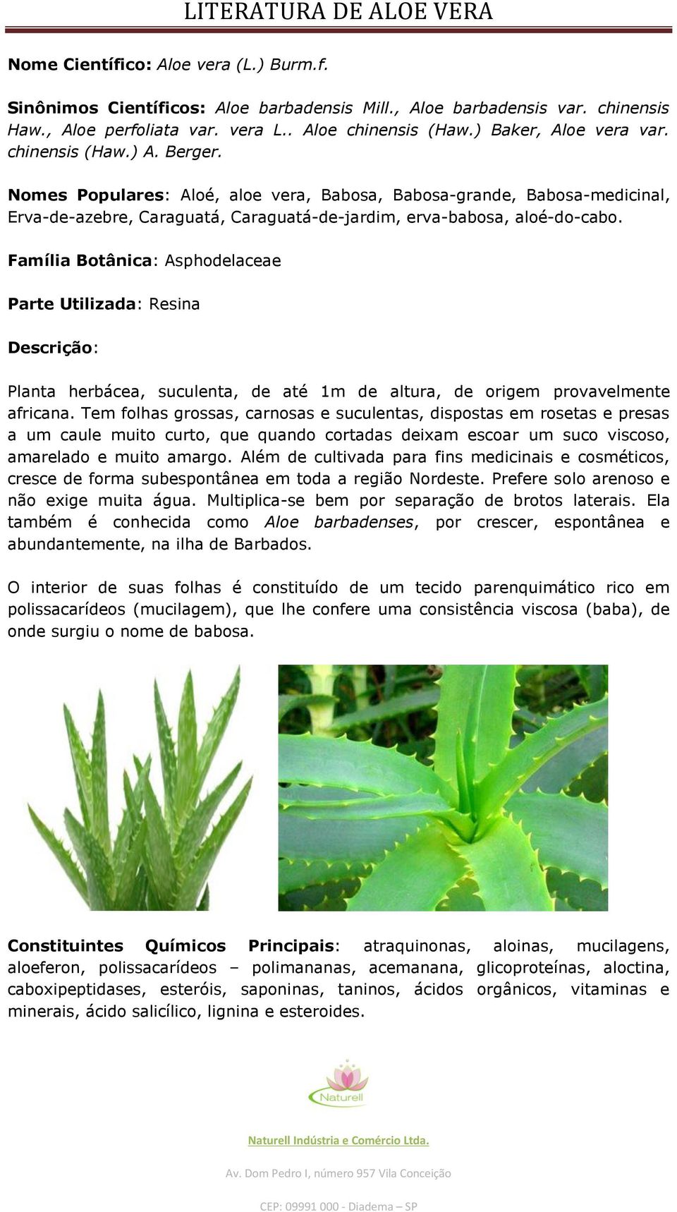 Família Botânica: Asphodelaceae Parte Utilizada: Resina Descrição: Planta herbácea, suculenta, de até 1m de altura, de origem provavelmente africana.