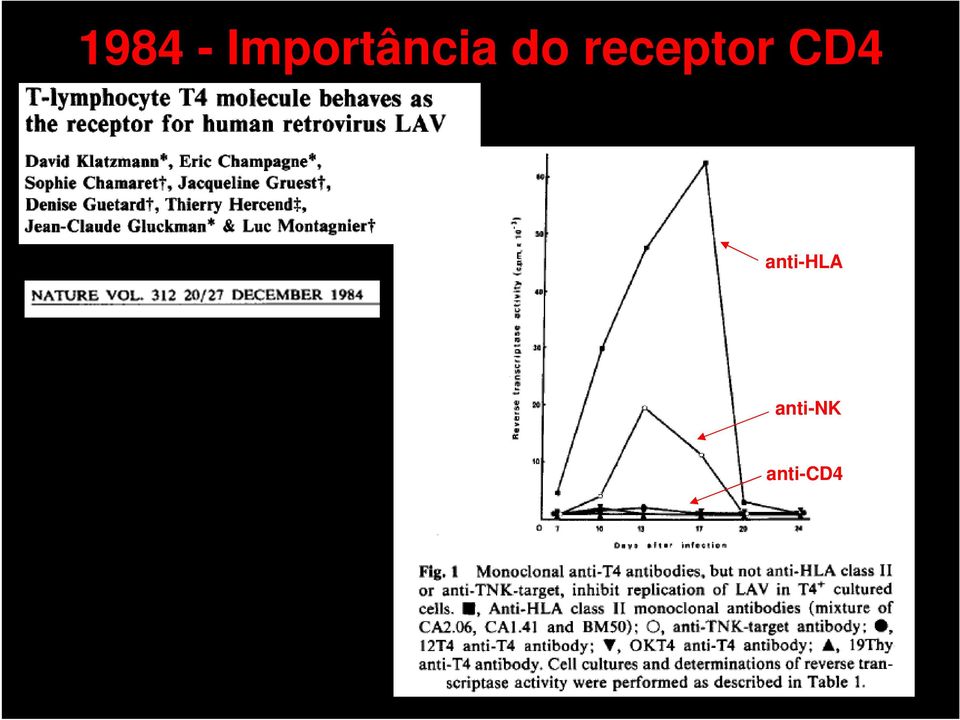 receptor CD4