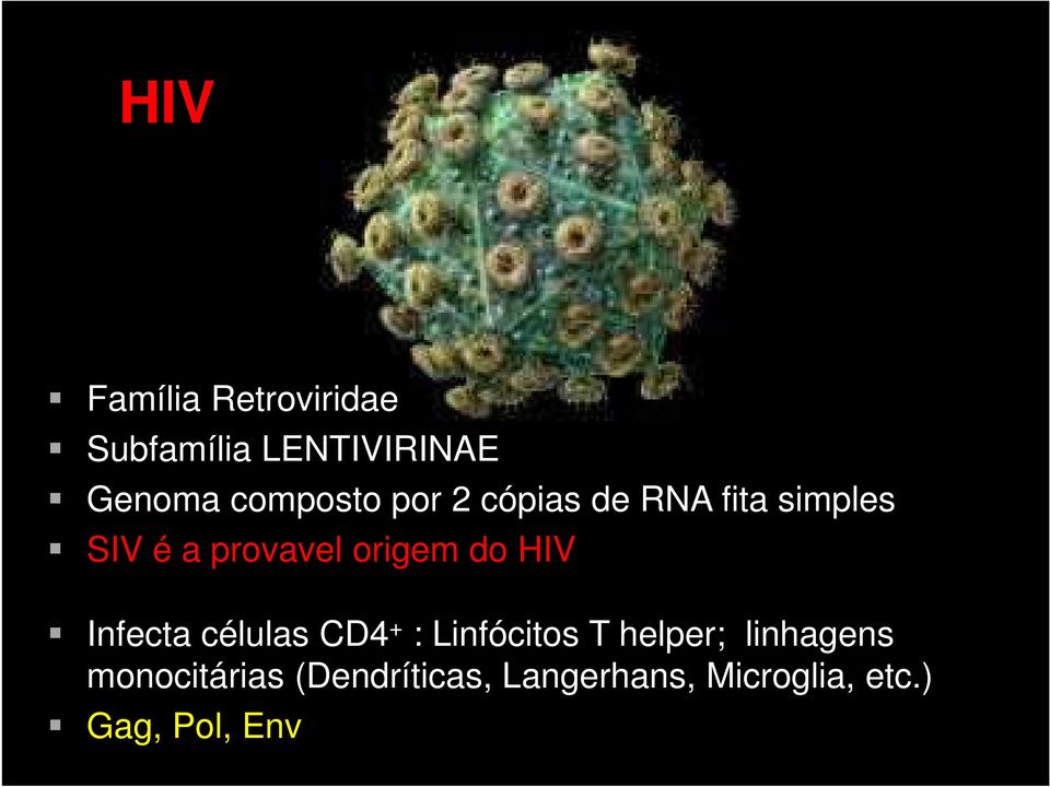 origem do HIV Infecta células CD4 + : Linfócitos T helper;