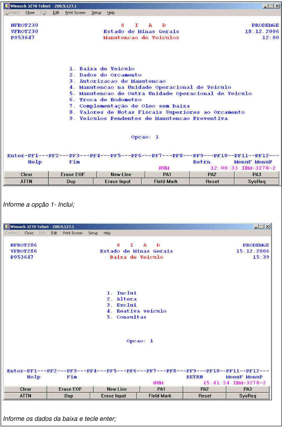 Informe os dados