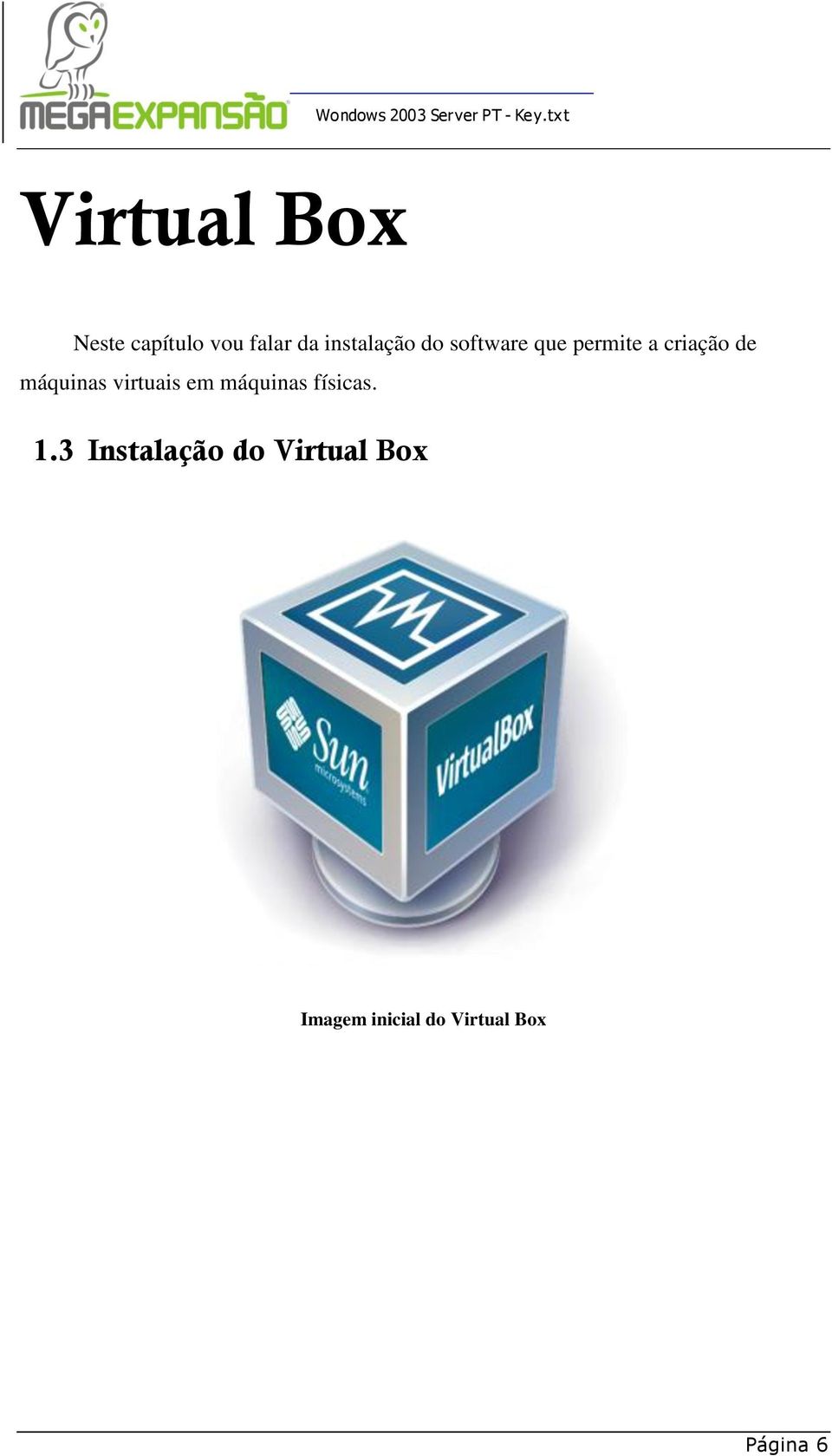 máquinas virtuais em máquinas físicas. 1.