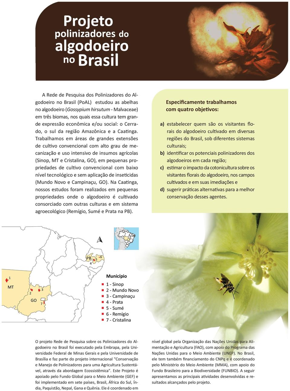 Trabalhamos em áreas de grandes extensões de cultivo convencional com alto grau de mecanização e uso intensivo de insumos agrícolas (Sinop, MT e Cristalina, GO), em pequenas propriedades de cultivo