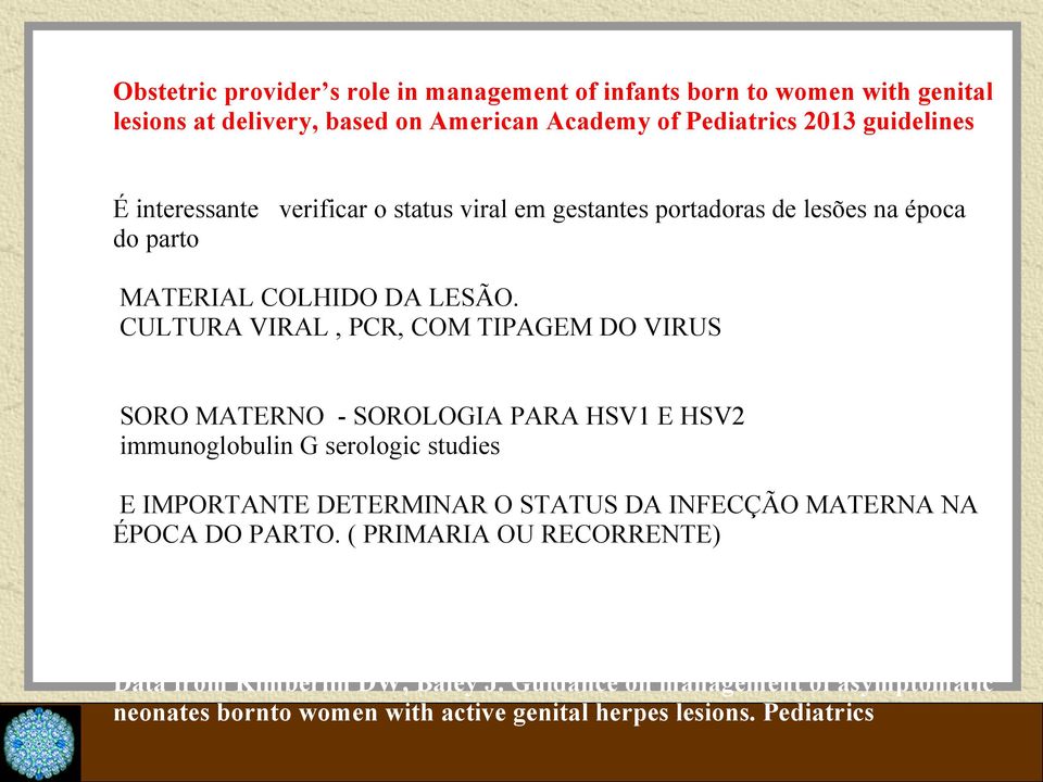 CULTURA VIRAL, PCR, COM TIPAGEM DO VIRUS SORO MATERNO - SOROLOGIA PARA HSV1 E HSV2 immunoglobulin G serologic studies E IMPORTANTE DETERMINAR O STATUS DA