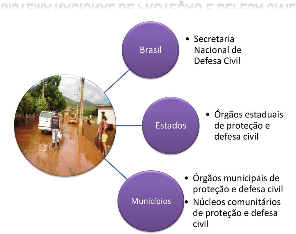 civil Municípios Órgãos municipais de proteção e