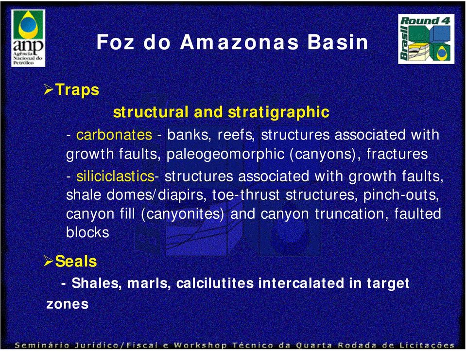 growth faults, shale domes/diapirs, toe-thrust structures, pinch-outs, canyon fill (canyonites)