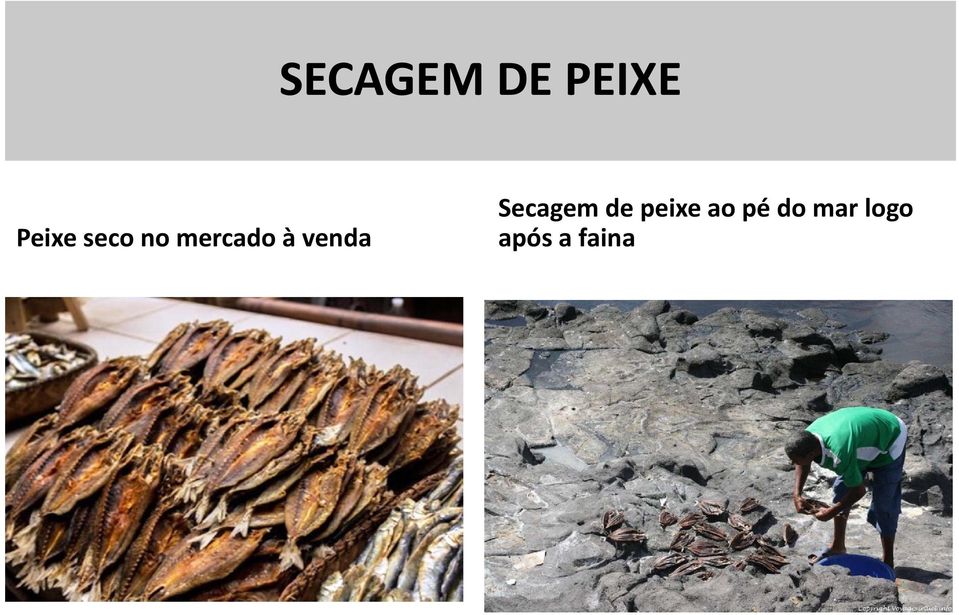 Secagem de peixe ao pé