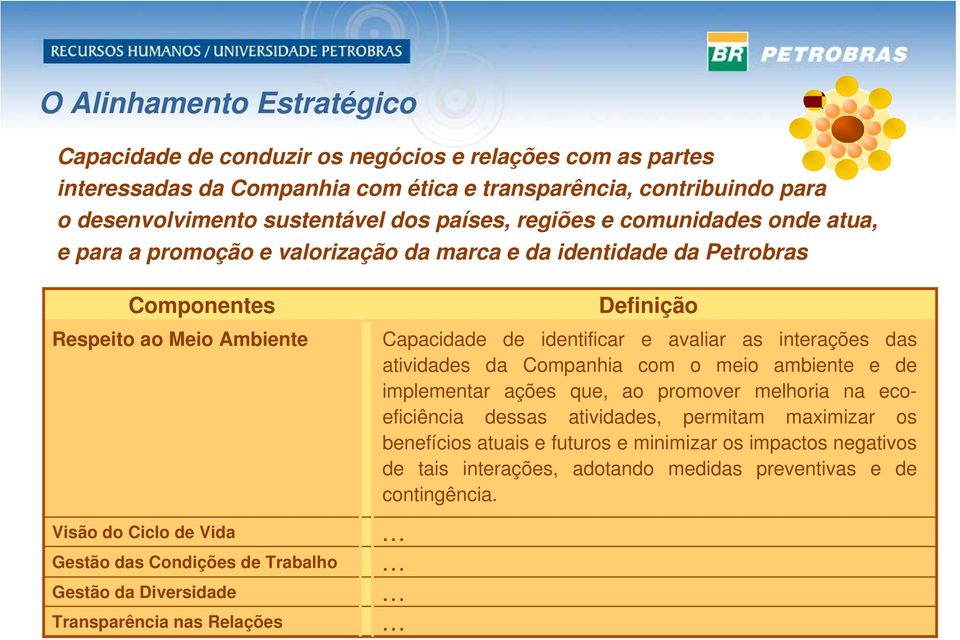 Vida Gestão das Condições de Trabalho Gestão da Diversidade Transparência nas Relações Definição Capacidade de identificar e avaliar as interações das atividades da Companhia com o meio ambiente e de