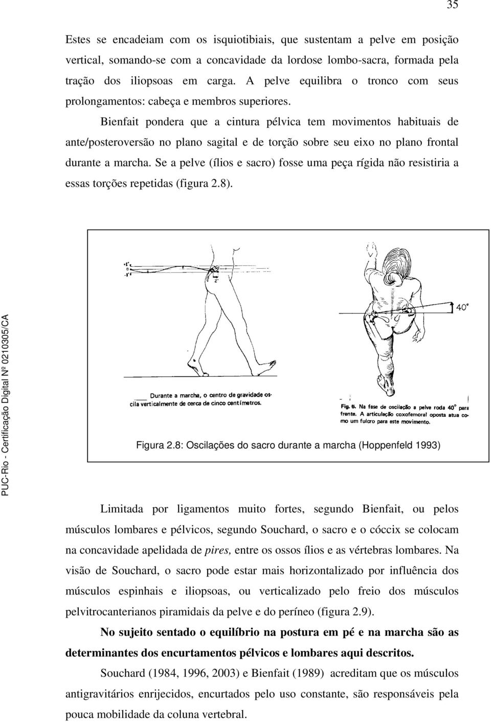 Bienfait pondera que a cintura pélvica tem movimentos habituais de ante/posteroversão no plano sagital e de torção sobre seu eixo no plano frontal durante a marcha.