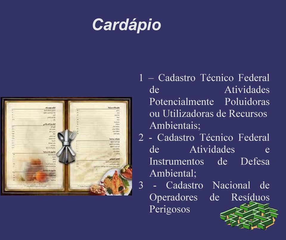 Ambientais; 2 - Cadastro Técnico Federal de Atividades e