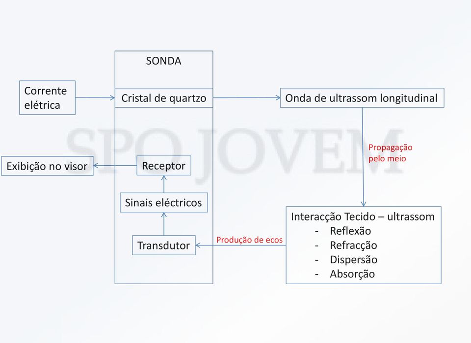 Sinais eléctricos Transdutor Produção de ecos Interacção