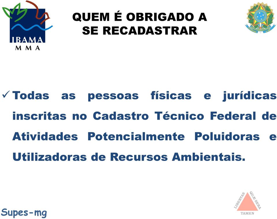 Cadastro Técnico Federal de Atividades