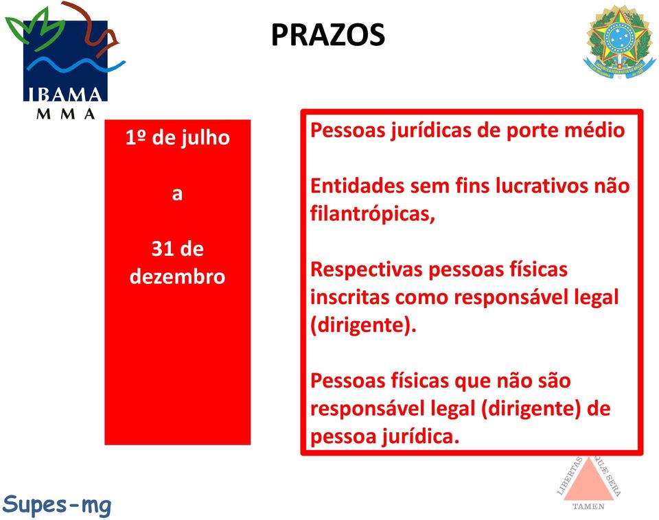 pessoas físicas inscritas como responsável legal (dirigente).