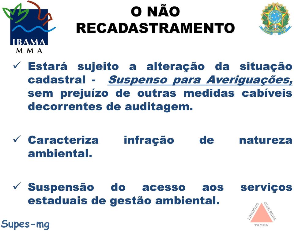 medidas cabíveis decorrentes de auditagem.