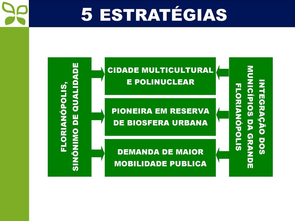 CIDADE MULTICULTURAL E POLINUCLEAR PIONEIRA EM