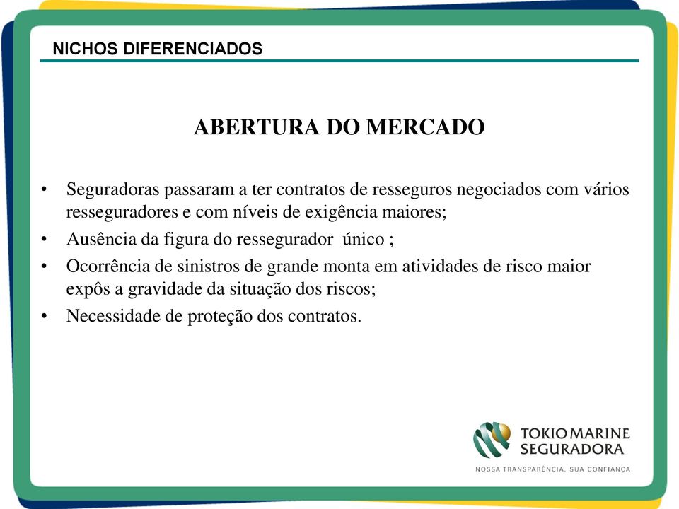 ressegurador único ; Ocorrência de sinistros de grande monta em atividades de risco