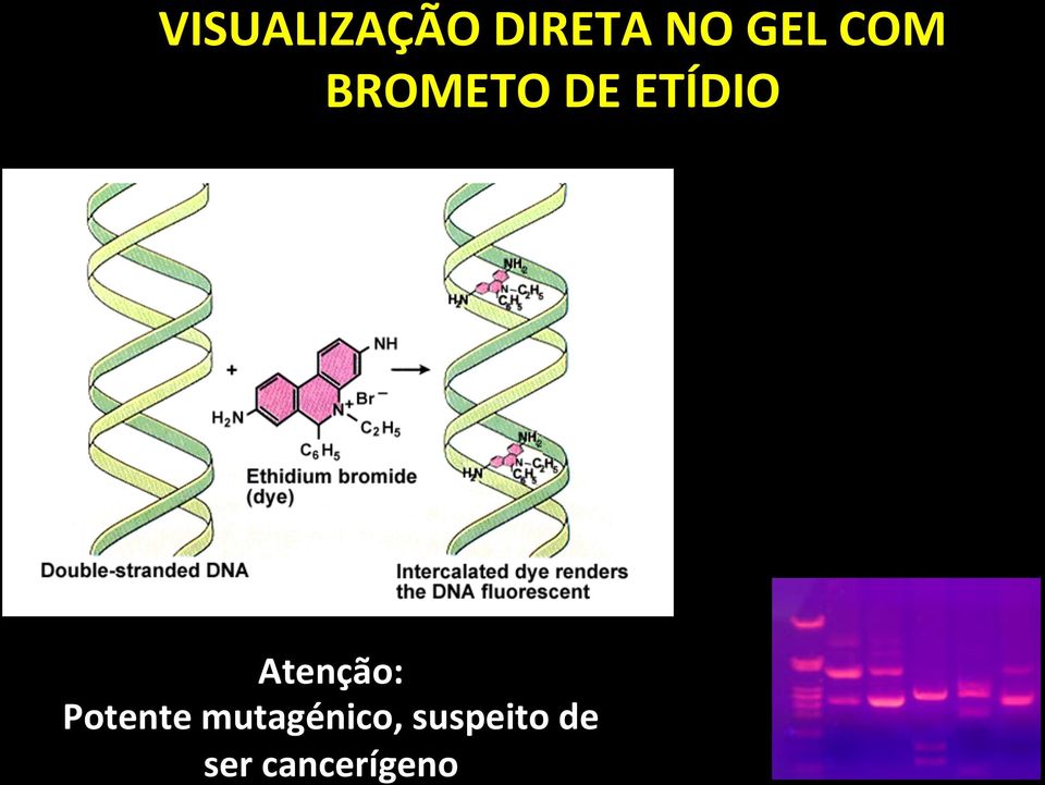 quando se usa luz UV Atenção: Potente