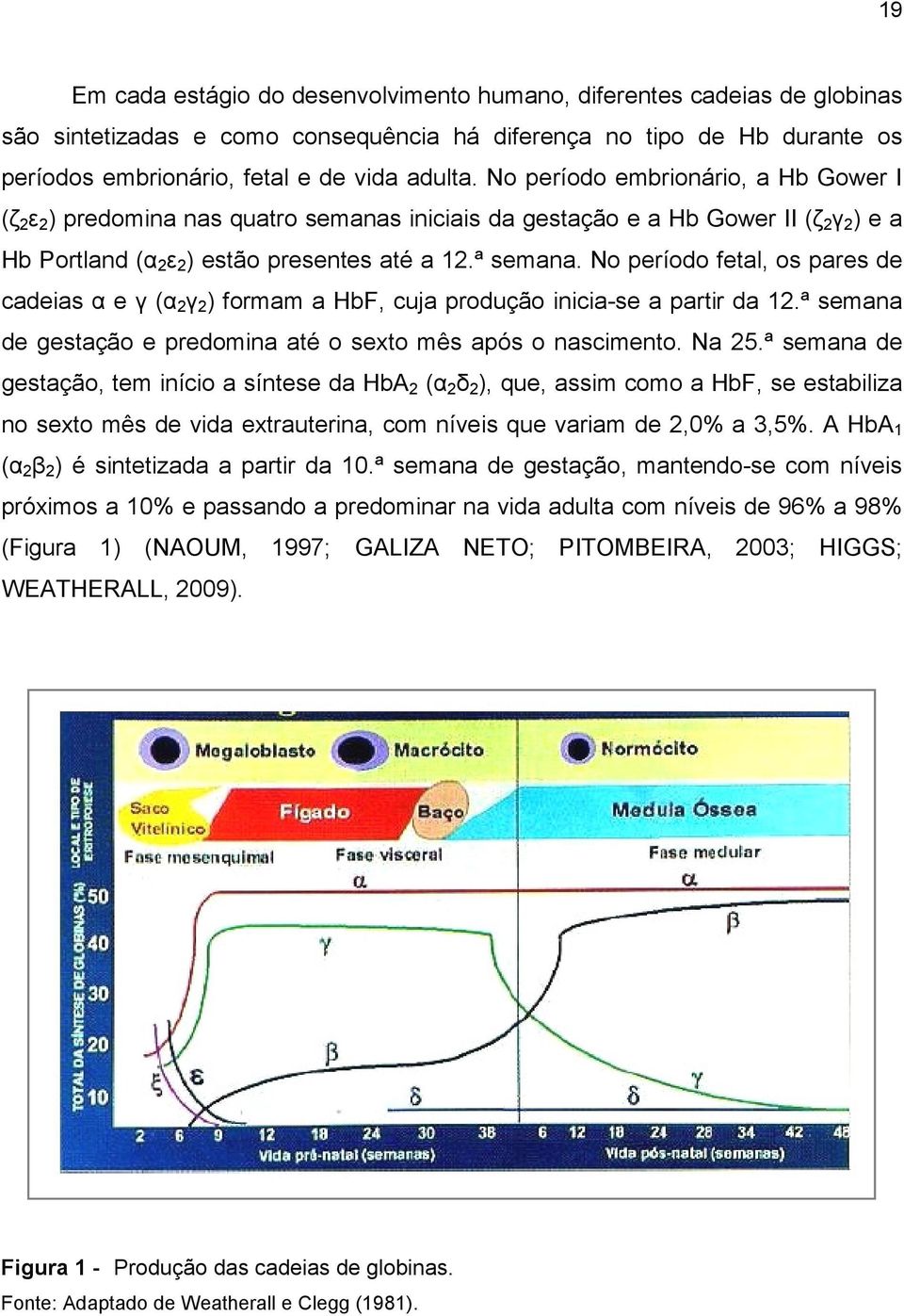 No período fetal, os pares de cadeias α e γ (α 2 γ 2 ) formam a HbF, cuja produção inicia-se a partir da 12.ª semana de gestação e predomina até o sexto mês após o nascimento. Na 25.