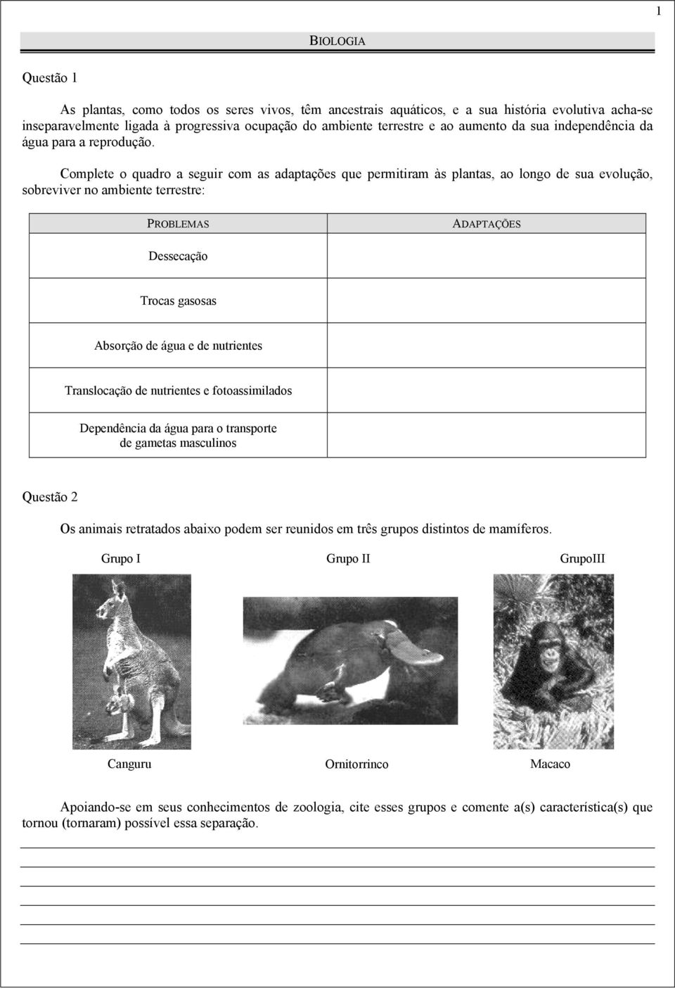 Complete o quadro a seguir com as adaptações que permitiram às plantas, ao longo de sua evolução, sobreviver no ambiente terrestre: PROBLEMAS ADAPTAÇÕES Dessecação Trocas gasosas Absorção de água e