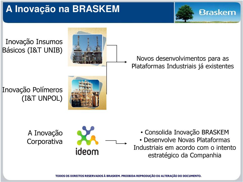 Polímeros (I&T UNPOL) A Inovação Corporativa Consolida Inovação BRASKEM