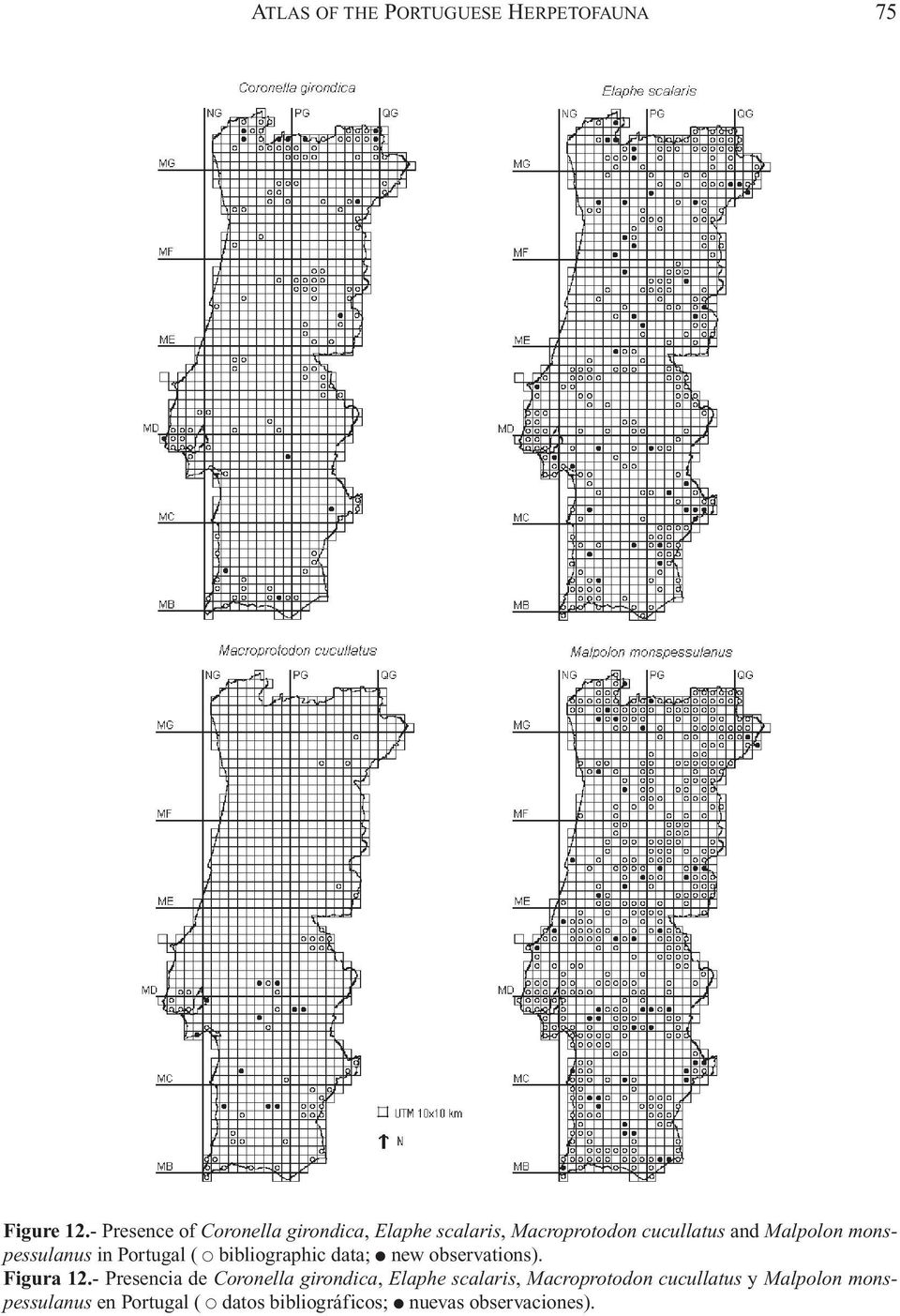 monspessulanus in Portugal ( bibliographic data; new observations). Figura 12.