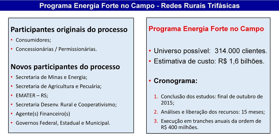 Rural e Cooperativismo; Agente(s) Financeiro(s) Governos Federal, Estadual e Municipal. Programa Energia Forte no Campo Universo possível: 314.000 clientes.