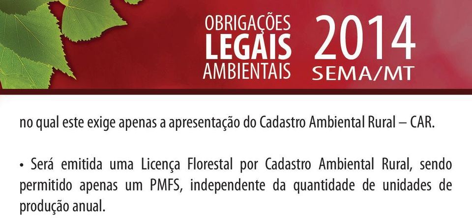 Será emitida uma Licença Florestal por Cadastro