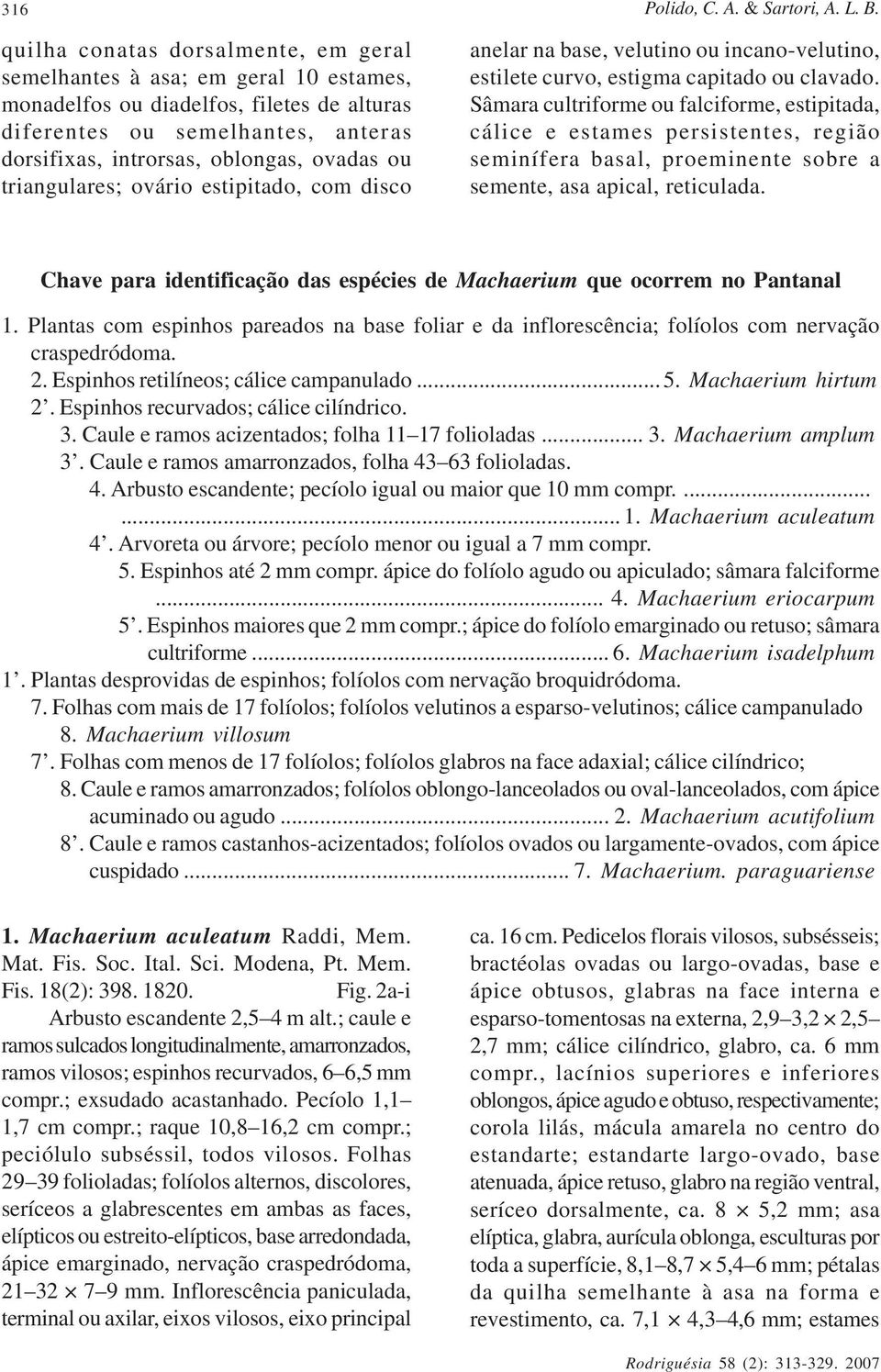 triangulares; ovário estipitado, com disco anelar na base, velutino ou incano-velutino, estilete curvo, estigma capitado ou clavado.