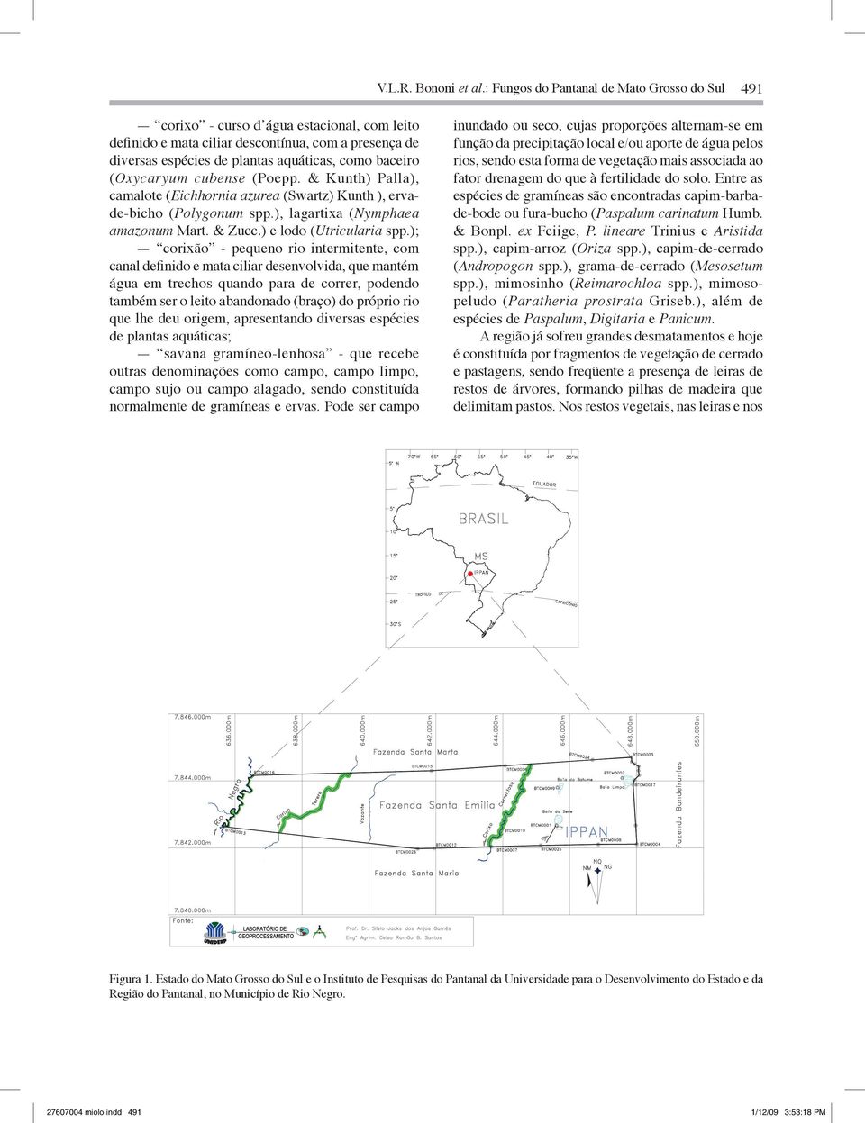 (Oxycaryum cubense (Poepp. & Kunth) Palla), camalote (Eichhornia azurea (Swartz) Kunth ), ervade-bicho (Polygonum spp.), lagartixa (Nymphaea amazonum Mart. & Zucc.) e lodo (Utricularia spp.