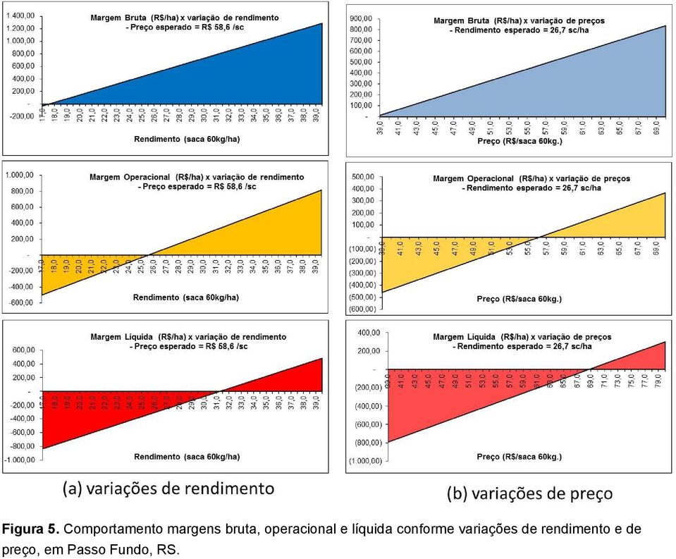 operacional e líquida conforme