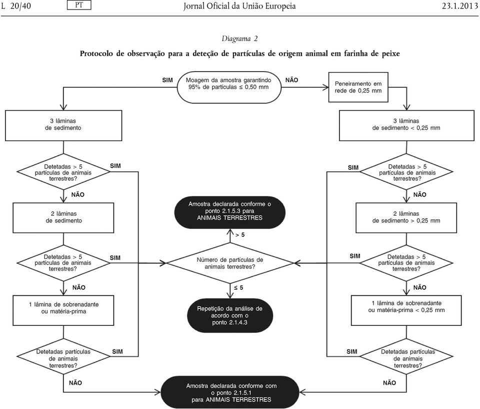 2013 Diagrama 2 Protocolo de