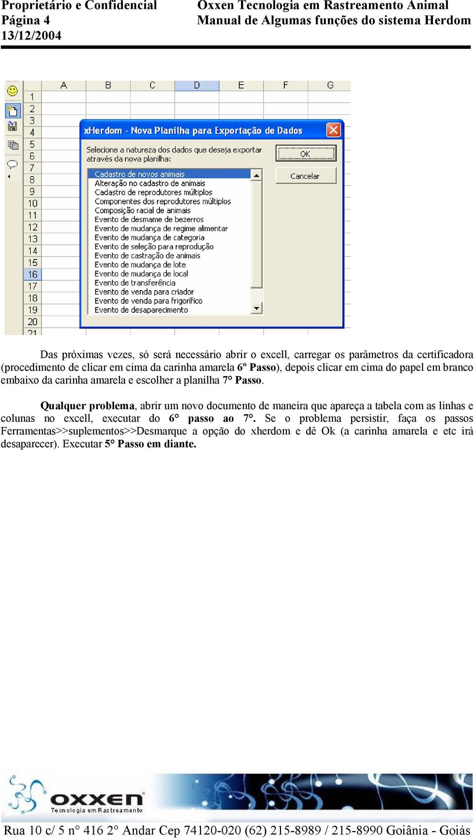 Qualquer problema, abrir um novo documento de maneira que apareça a tabela com as linhas e colunas no excell, executar do 6 passo ao 7.