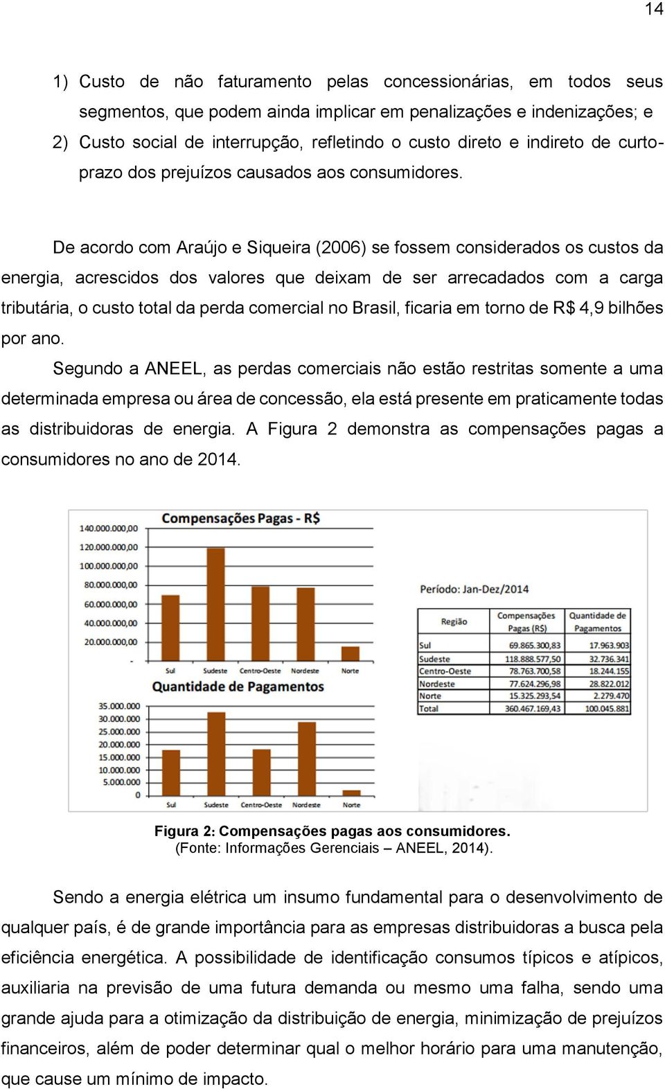 De acordo com Araújo e Siqueira (2006) se fossem considerados os custos da energia, acrescidos dos valores que deixam de ser arrecadados com a carga tributária, o custo total da perda comercial no