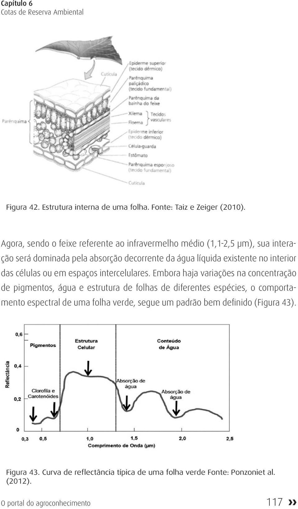 interior das células ou em espaços intercelulares.