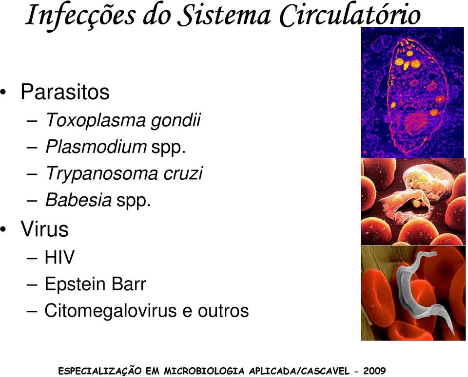 spp. Trypanosoma cruzi Babesia spp.