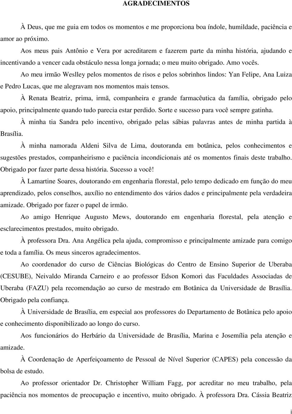 Ao meu irmão Weslley pelos momentos de risos e pelos sobrinhos lindos: Yan Felipe, Ana Luiza e Pedro Lucas, que me alegravam nos momentos mais tensos.