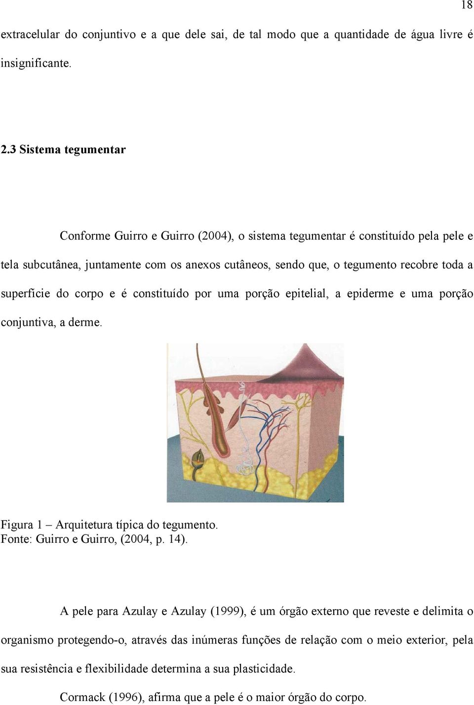 superfície do corpo e é constituído por uma porção epitelial, a epiderme e uma porção conjuntiva, a derme. Figura 1 Arquitetura típica do tegumento. Fonte: Guirro e Guirro, (2004, p. 14).